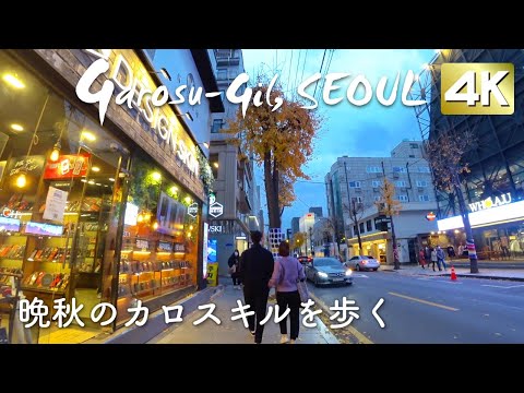 vlog | Caminhando por Garosu-gil no final do outono | KOREA LIFE