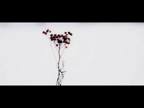 Curtis Heron & Fifty Grand - Water Glance [UNOFFICIAL VIDEO]