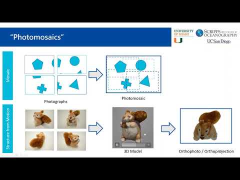 Photomosaics as a Tool for Monitoring Coral Restoration Success