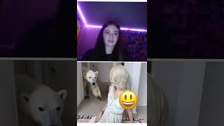 Download lagu Pet revealing 😂| CHANG DORY | ometv mp3