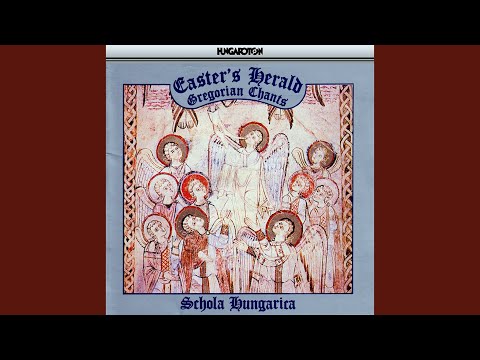 XII. a) Gavisi sunt - Pax vobis - Cognoverunt (Antiphons)