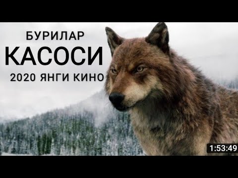 БУРИЛАР КАСОСИ ЯНГИ ТАРЖИМА КИНО УЗБЕК ТИЛИДА BURI TARJIMA UZBEK TILIDA