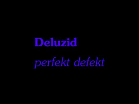 Deluzid - perfek Defekt [vercrackter Rap]