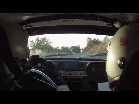 Davide Cesarini - PS5 Bagotta - 13° Rally Rose'n Bowl 2013