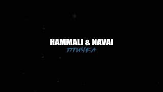 Kadr z teledysku Птичка (Ptichka) tekst piosenki HammAli & Navai