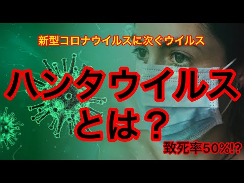 透過型電子顕微鏡 (TEM/TEM) によるハンタウイルスの一種であるシンナンバーウイルス (SNV)