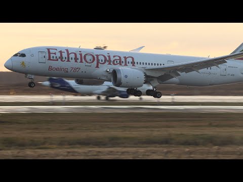 Что летало утром в Домодедово, Дримлайнер, хоккейный самолет и другие.