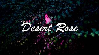 [Lyrics] Lolo Zouaï - Desert Rose (Official Audio)