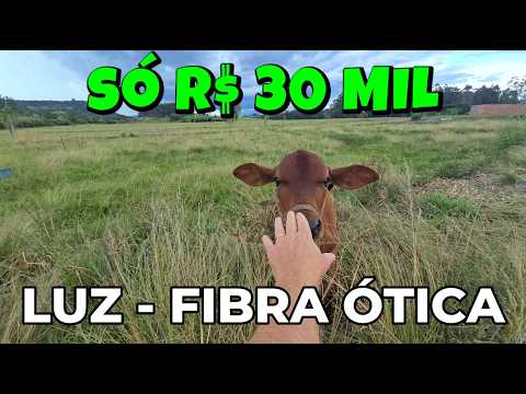 Vídeo