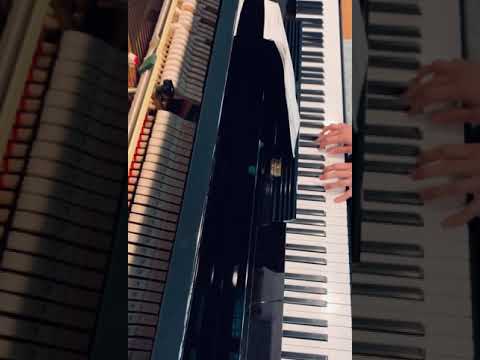 Hymn 66 - How sweet the Name of Jesus sounds