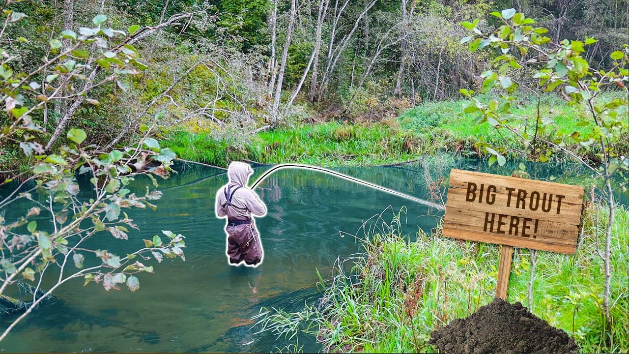 I caught THIS FISH on THE LAST DAY OF TROUT SEASON #fishing #browntroutfishing