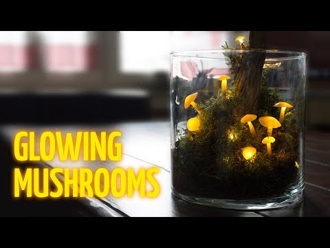 DIY Glowing Mushrooms