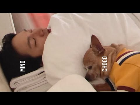 Lee Min Ho's latest instagram video update featuring his dog Choco.