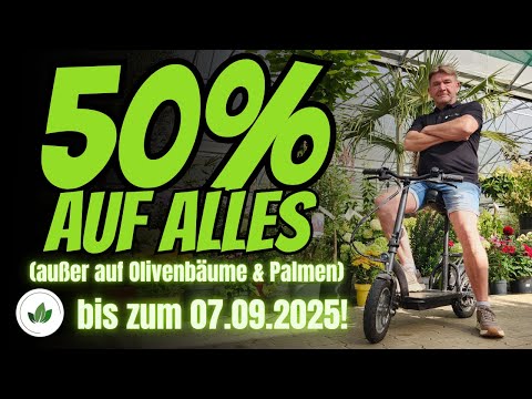 R.Wardenburg Gartenbau YouTube-Vdeominiatur 2
