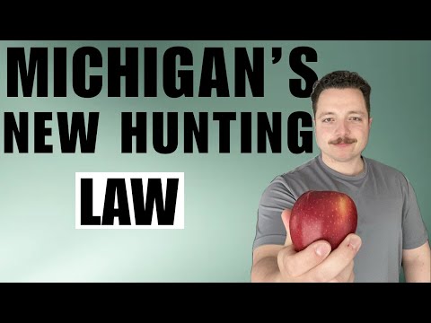 DEER HUNTING IN MICHIGAN: Understanding BAITING RULES for the 2025 deer hunting season