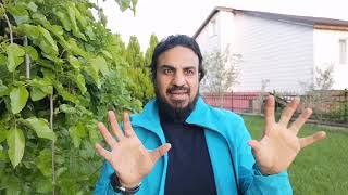 صورة ولكن جعلناه نورًا (١٥) إنهم فتيةٌ آمنوا بربّهم وزدناهم هُدى