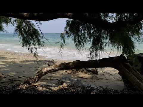 La umbra - Faros Beach, Mitikas