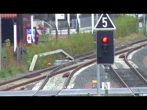 Sonderzugfahrt aus Anlass der Schließung des Bahnhofes Oberhof