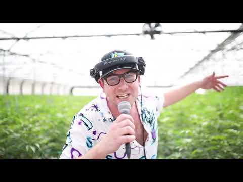 Dr . Fresch - Original Sound Official Full Set @ Hazy LA