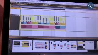 Video thumbnail for [NAMM] WaveDNA Liquid Rhythm 1.3 by Audiofanzine in English