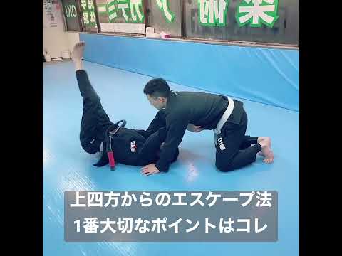 フレームで距離をとるエスケープ法。上四方編。