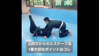 フレームで距離をとるエスケープ法。上四方編。