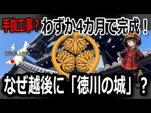 【高田城】川をそのまま堀に？湿地帯に突如出現した松平忠輝の大城郭