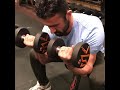 Concentration curl db