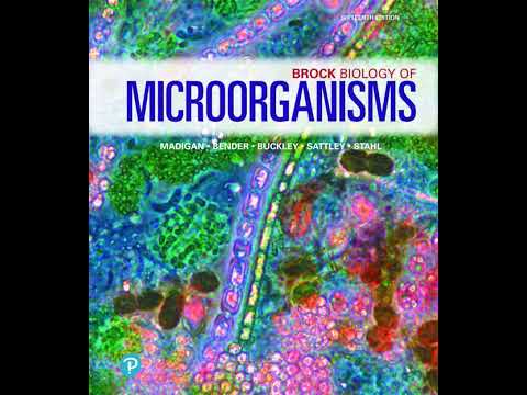 Phylogenetic Diversity of Bacteria | Chapter 16 – Brock Biology of Microorganisms (16th)