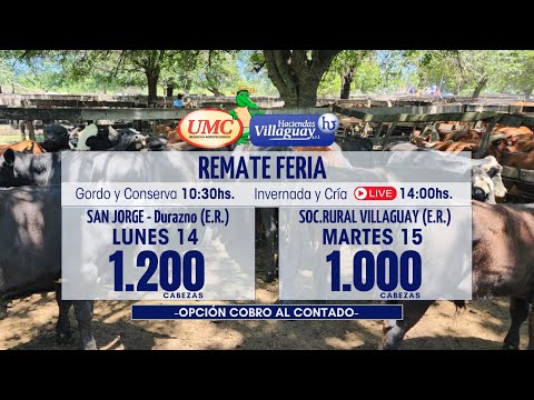 San Jorge - Durazno (E.R.) 1.200 cabezas