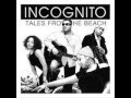 incognito - put a little lovin'in your heart