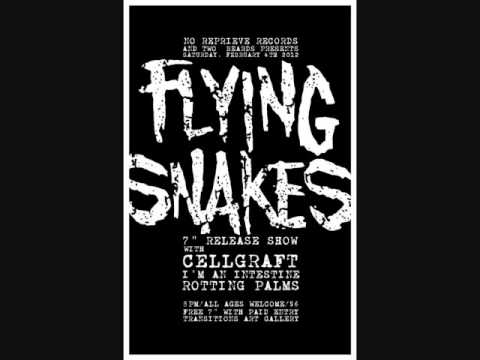 Flyingsnakes - Curtain