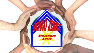 Mungo Jerry   " Sunshine Army "