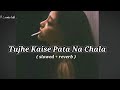 Tujhe Kaise Pata Na Chala ( Slowed + Reverb ) | @tanlofi  | @LofiAfterYou |