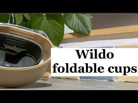 Wildo Folding Cup