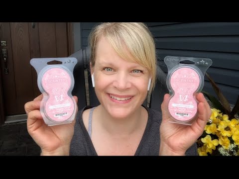 Last Call Scentsy Haul! (Featuring the Moon Over Jupiter Warmer)