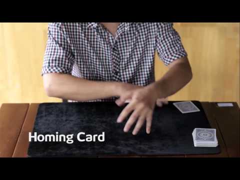 Visual Madness Vol 2 Video DOWNLOAD by Creative Artists