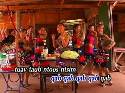 Tuav Taub Ntoos