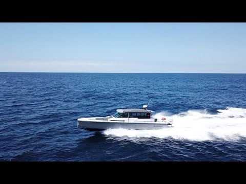 AXOPAR 28 T-TOP and 37 SPORTS CABIN | 58 kts | Dolphins | Pittwater to Sydney Harbour