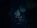 Idhayam Urugithan Karaindhu Povadhai Paarkiren Whatsapp Status Tamilmelodysongs