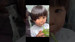 日本の餅つきがメルボルンで!?【3日間限定イベント】 #shorts #melbourne #mochi