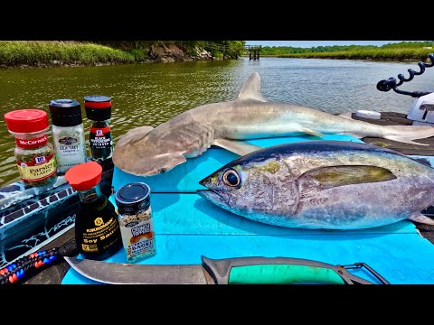 Fresh TUNA + SHARK Catch n' Cook on the Boat!