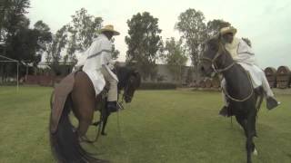 preview picture of video 'TACAMA Caballo de Paso'