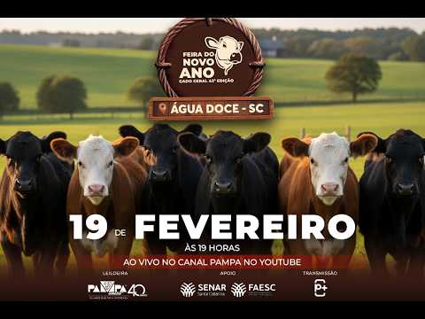 43° Feira de Gado Geral - 2° Etapa, ÁGUA DOCE/SC - 19/02/2026 19:00h