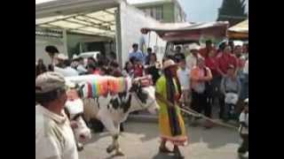 preview picture of video 'PASEO SAN ISIDRO 2012 CUADRILLA DE YUNTAS EN SAN MIGUEL TOTOCUITLAPILCO'