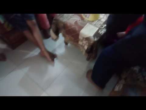 2nd birthday to munzir