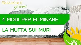 4 MODI per ELIMINARE LA MUFFA SUI MURI in maniera scientifica - #126