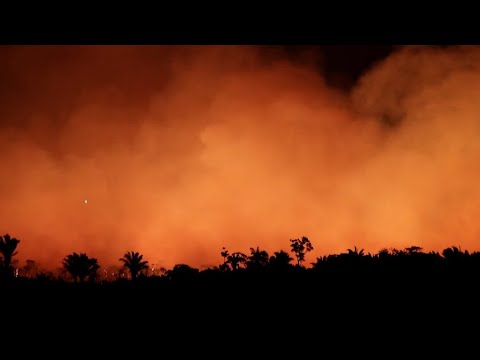 森林火災による記録的な霧