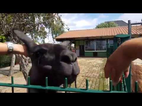 CamperTobi auf dem größten Campingplatz Deutschlands | Die Grav Insel bei Wesel.
