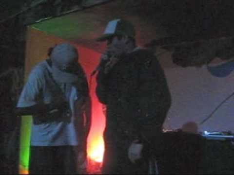 tony mariano vs sheep